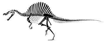 El Spinosaurus tenía las patas cortas Images?q=tbn:ANd9GcRUREhXfFCtKc53WKrYkG_bI_4SQH1Pxzl6yONCcBX80pVa8828YQ