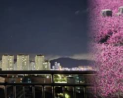 대전 중구 여행지, AI로 생성