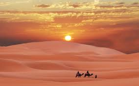 Image result for Moroccan Desert