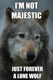 I&#39;m not majestic Just forever A Lone Wolf - Misc - quickmeme via Relatably.com