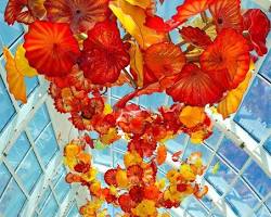 Image of Dale Chihuly glass sculptures
