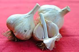 Image result for inner garlic head