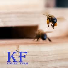 Kodiak Farm Bees