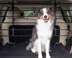 PetSafe Happy Ride Metal Dog Barrier