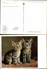 164507,Katze Junge Katzen sign Hermann Gemeinhardt | eBay