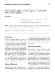 (PDF) Putoria calabrica (Rubiaceae), a new species in the flora of ...