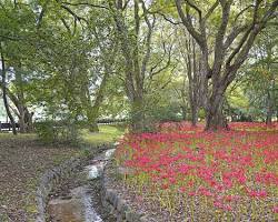 경주국립공원 불국사 석굴암 풍경 사진, AI로 생성