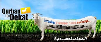Image result for qurban