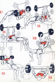 نتيجة بحث الصور عن ‪exercice gym‬‏