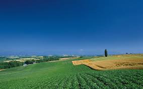 Schiefen Farm Land \u0026amp; Sky Hintergrundbilder | Schiefen Farm Land ... - schiefen-farm-land-amp%3B-sky-wallpapers_40201_1920x1200