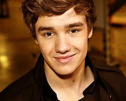 You can download wallpaper Liam Payne One Direction 2013 HD Wallpapers for ...