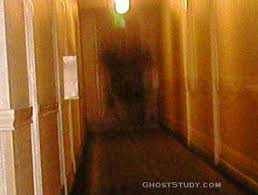 Image result for shadow ghost