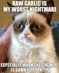 Grumpy Cat Meme - Imgflip via Relatably.com