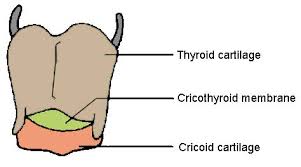 Αποτέλεσμα εικόνας για surgical cricothyroidotomy