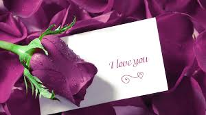 Image result for love flowers pictures roses hd
