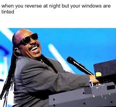 When you reverse at night but your windows are tinted #lol ... via Relatably.com