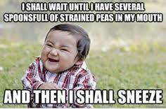 Sneezing on Pinterest | Baby Memes, Otters and Faces via Relatably.com