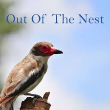 Out Of The Nest