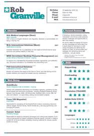 Image result for resume for professional