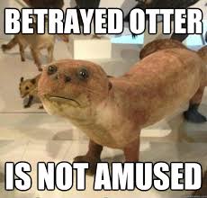 betrayed otter is not amused - betrayed otter - quickmeme via Relatably.com