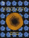 Infection cycles of large DNA viruses: Emerging themes and ...