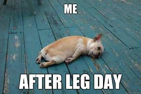Leg Day Memes on Pinterest | Gym Humor, Funny Workout Memes and ... via Relatably.com