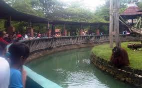 Image result for Kebun Binatang Mangkang semarang foto