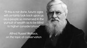 alfred russell wallace | Tumblr via Relatably.com