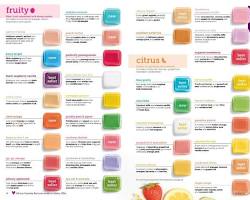 different Scentsy fragrances