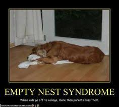 Empty Nest aka Lonely Bird Syndrome on Pinterest | Empty Nest ... via Relatably.com