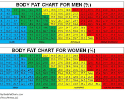 Online BMI Calculator with Body Fat Percentage