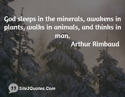 God sleeps in the minerals awakens in plants walks in animals and ... via Relatably.com
