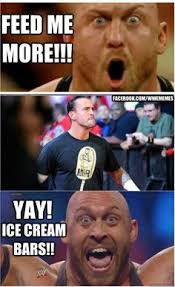 Wrestling Memes on Pinterest | Cm Punk, Wwe Funny Pictures and ... via Relatably.com