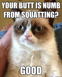 Your butt is numb from squatting? good - Misc - quickmeme via Relatably.com
