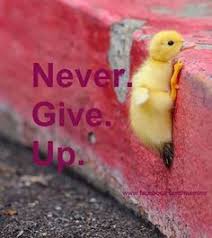 Image result for pictures of never giving up