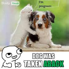 animal Memes - Page 8 of 14 - DailyVocab English Hindi meaning ... via Relatably.com