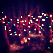 Image result for fairy lights tumblr
