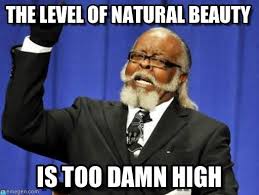The Level Of Natural Beauty - Too Damn High meme on Memegen via Relatably.com