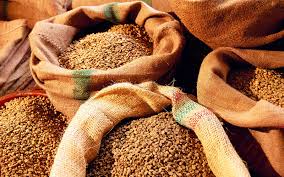 На Уманщині триває заготівля зерна до регіональних ресурсів 
