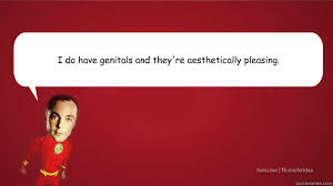 I do have genitals and they&#39;re aesthetically pleasing. - Sheldon ... via Relatably.com