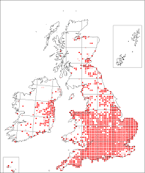 Geranium pyrenaicum | Online Atlas of the British and Irish Flora