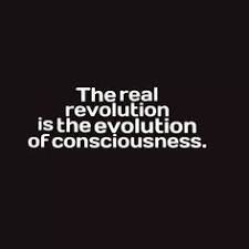 Coincidences, synchronicities and serendipities are all signs from ... via Relatably.com
