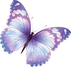 Image result for butterfly images