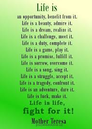 life quotes. life is - Inspirational Quotes about Life, Love ... via Relatably.com