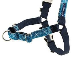 PetSafe Bling Easy Walk Harness, Medium/Large, Blue