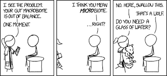 Image result for xkcd cartoon