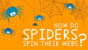 How do Spiders Make Webs? - Biology For Kids | Mocomi