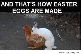 Funny Easter Quotes And Pictures - funny easter quotes and ... via Relatably.com