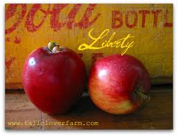 liberty apples