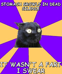 Stomach growls in dead silence it wasn&#39; (Anxiety Cat) | Meme share via Relatably.com